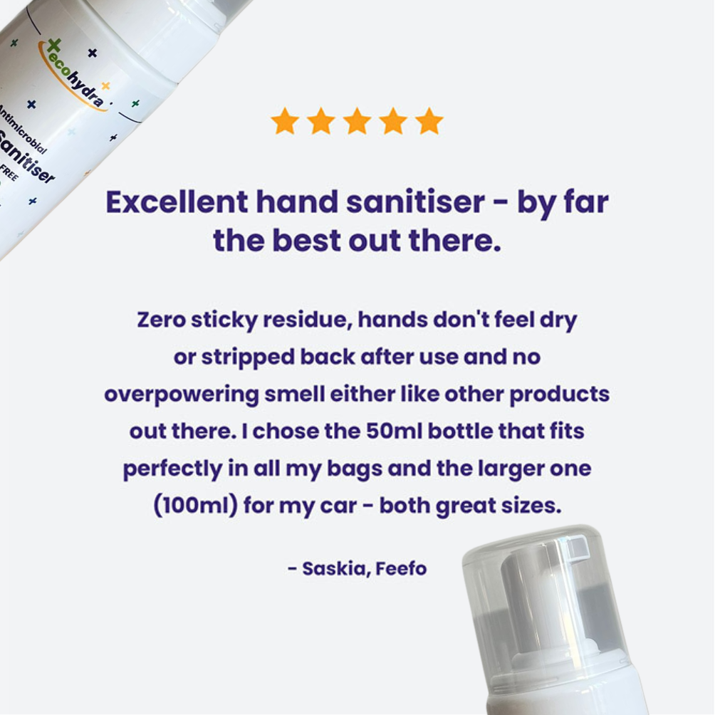 Alcohol Free Foam Hand Sanitiser (100ml)