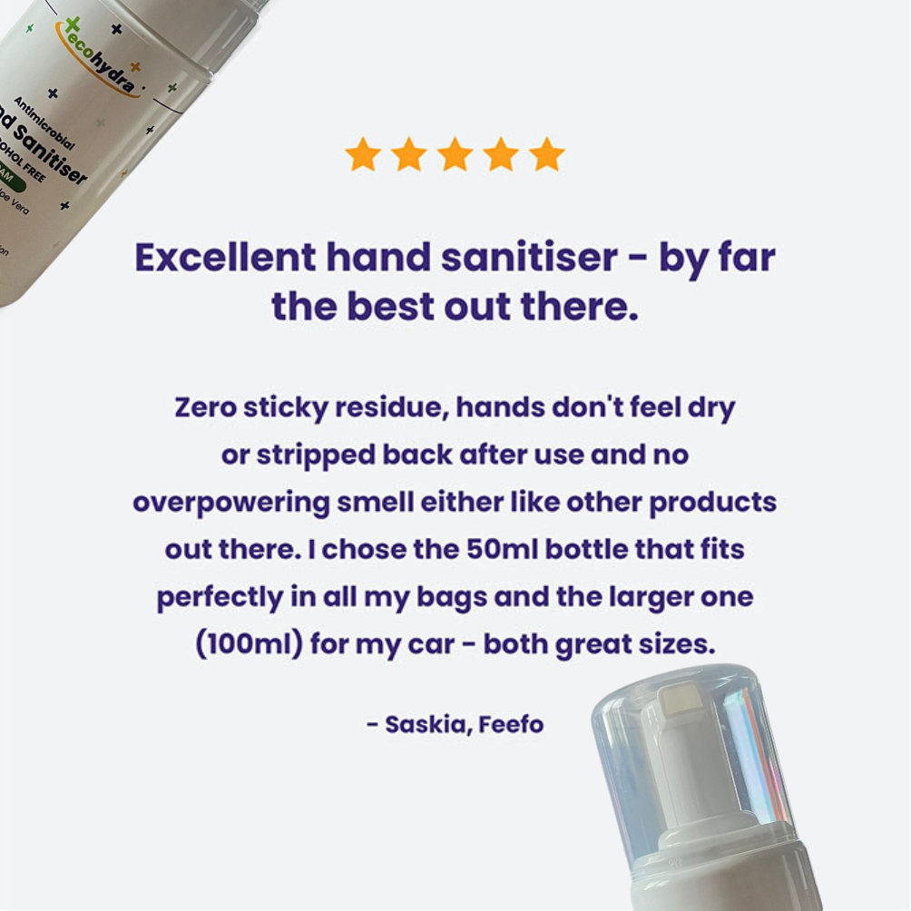 Alcohol Free Foam Hand Sanitiser (100ml)